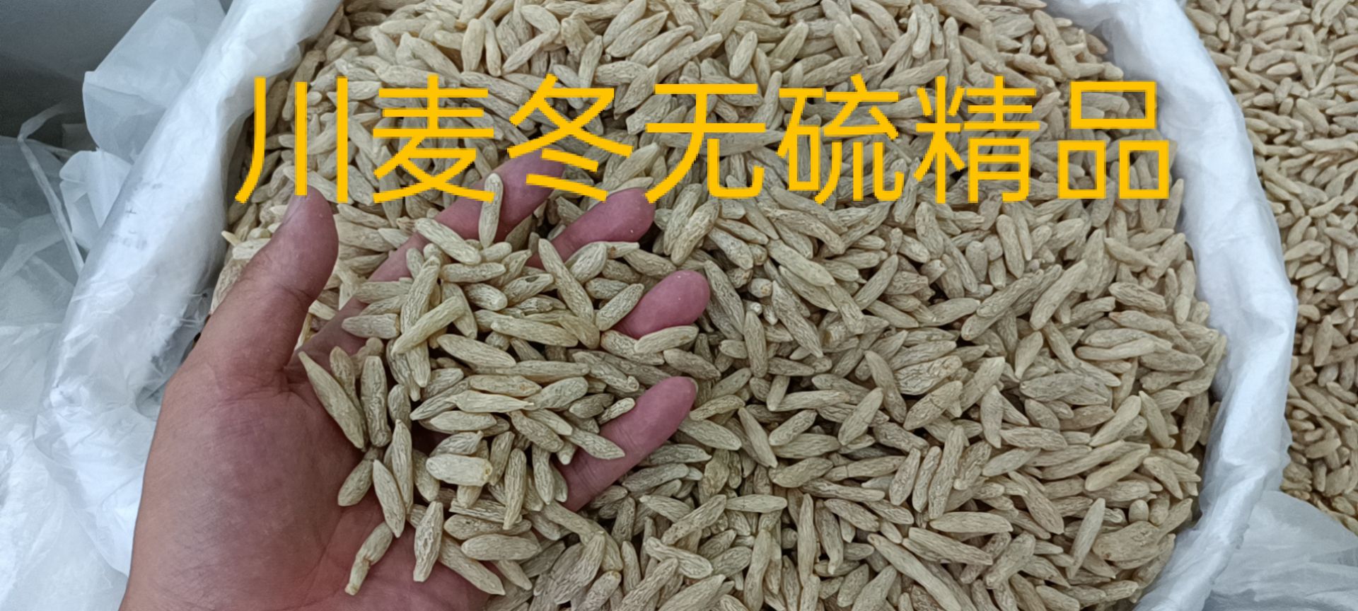 四川麦冬批发 产地货源 常年供货，可批发可零售